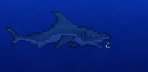 how to get sharks to spawn terraria